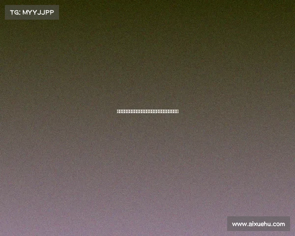 火箭队今日赛事数据深度剖析得分篮板助攻关键统计一览