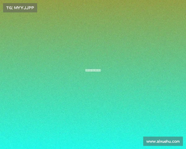 女排什么时候再有比赛